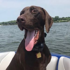 Meet your Posher, Lucy